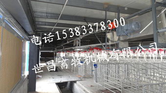 猪场自动化料线系统 现代养猪设备的核心设计与实践